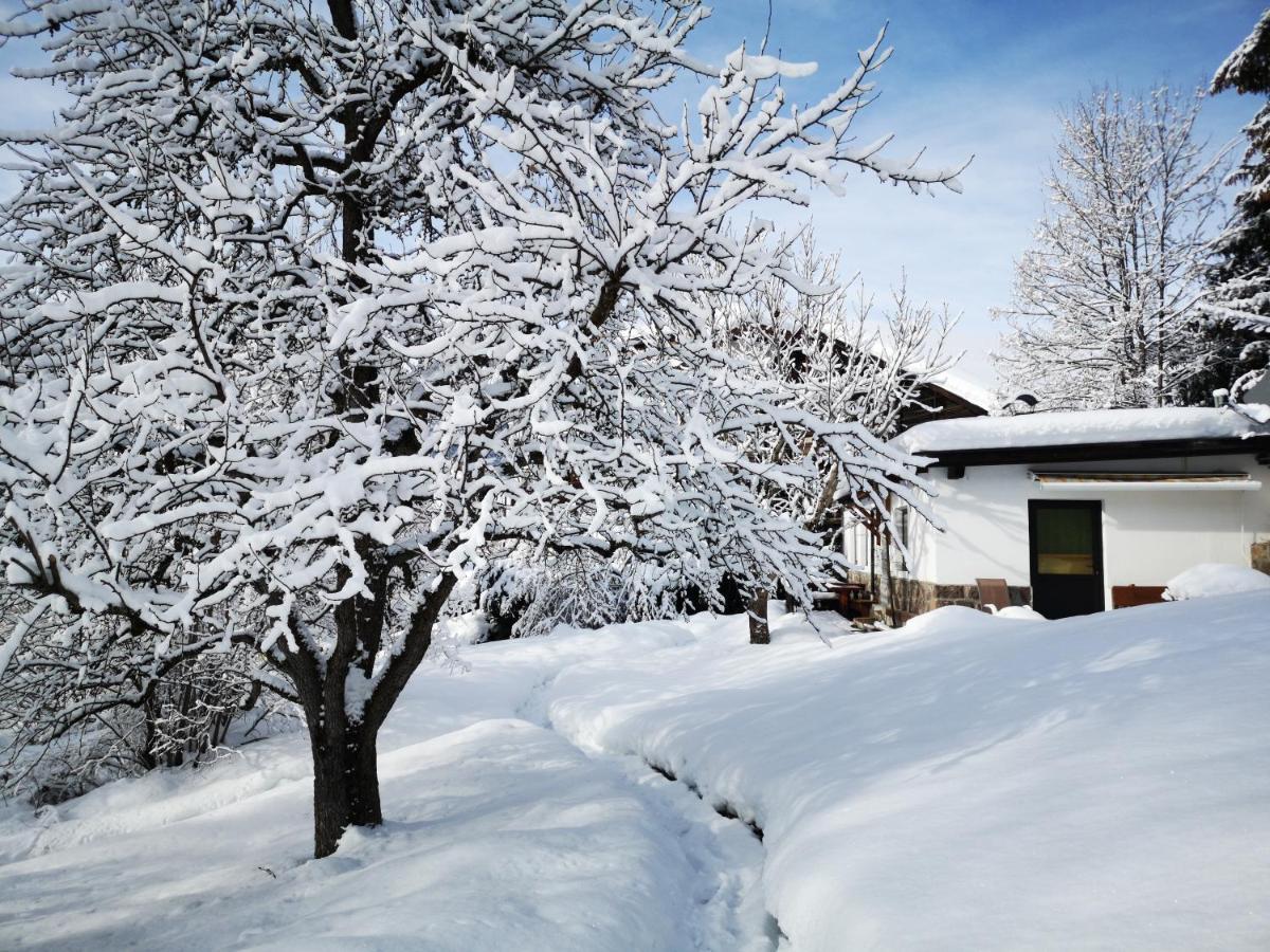 Appartchalet La Rondula Aparthotel Ortisei Eksteriør bilde