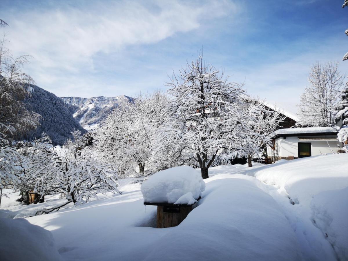 Appartchalet La Rondula Aparthotel Ortisei Eksteriør bilde